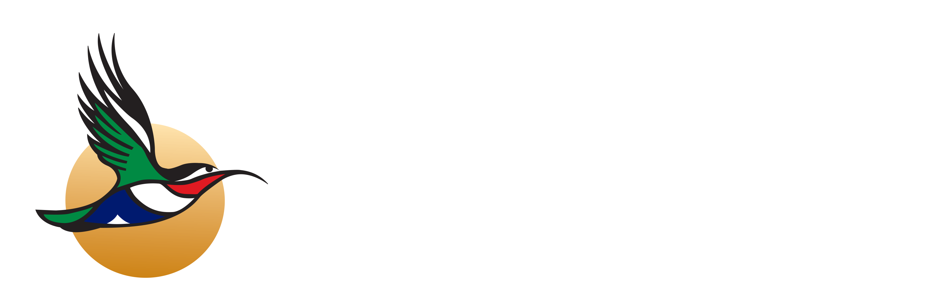 airlink